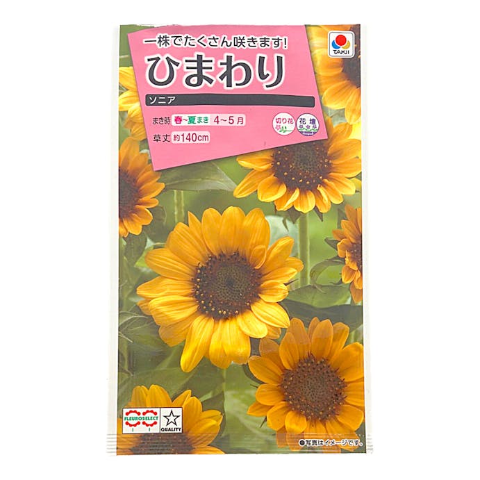 タキイ種苗 ひまわり ソニア