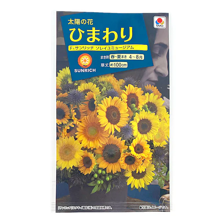 ひまわり F1サンリッチソレイユミュージアム