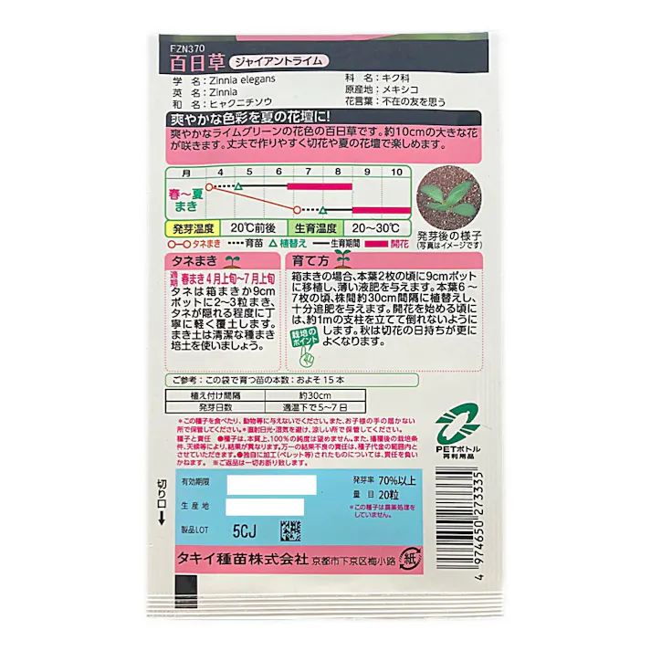 百日草 ジャイアントライム