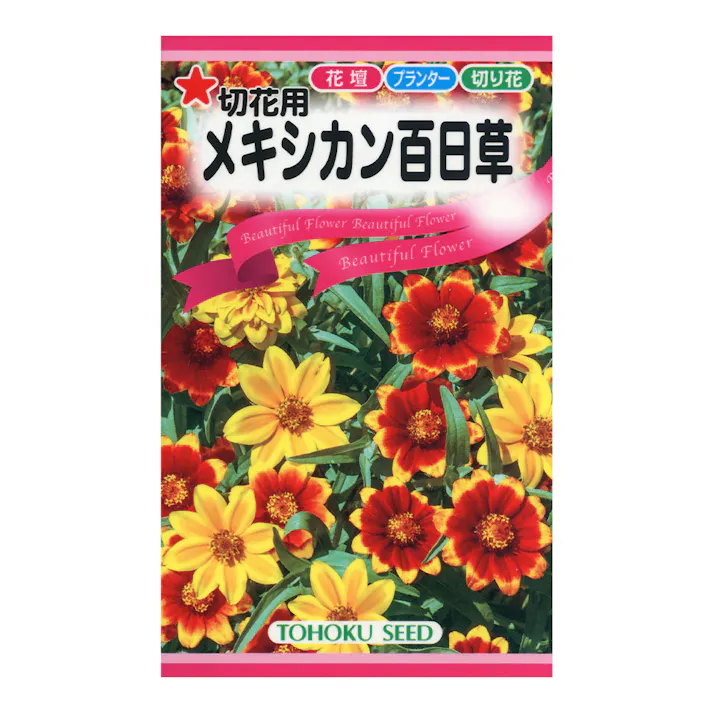 切花用メキシカン百日草