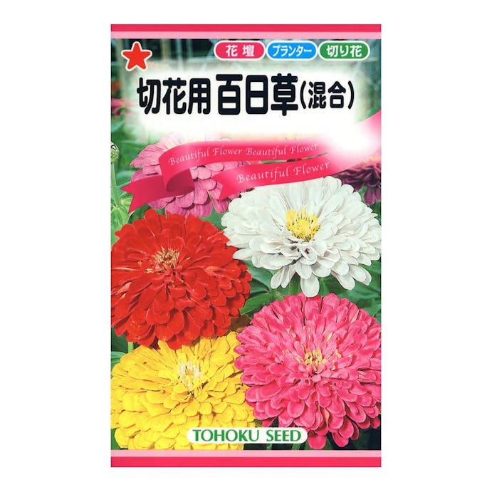 トーホク 百日草 (混合) 切花用(販売終了)