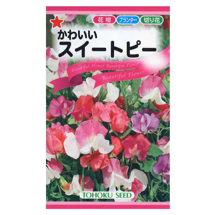 かわいいスィートピー