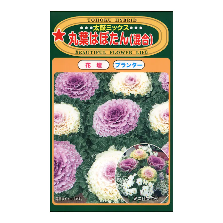 F1丸葉はぼたん(混合)