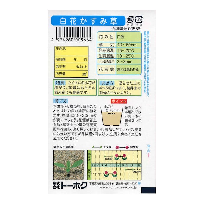 トーホク 白花かすみ草 ホームセンター通販 カインズ トーホク 白花かすみ草 ホームセンター通販 カインズ