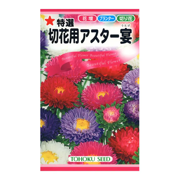 特選切花用 アスター 宴