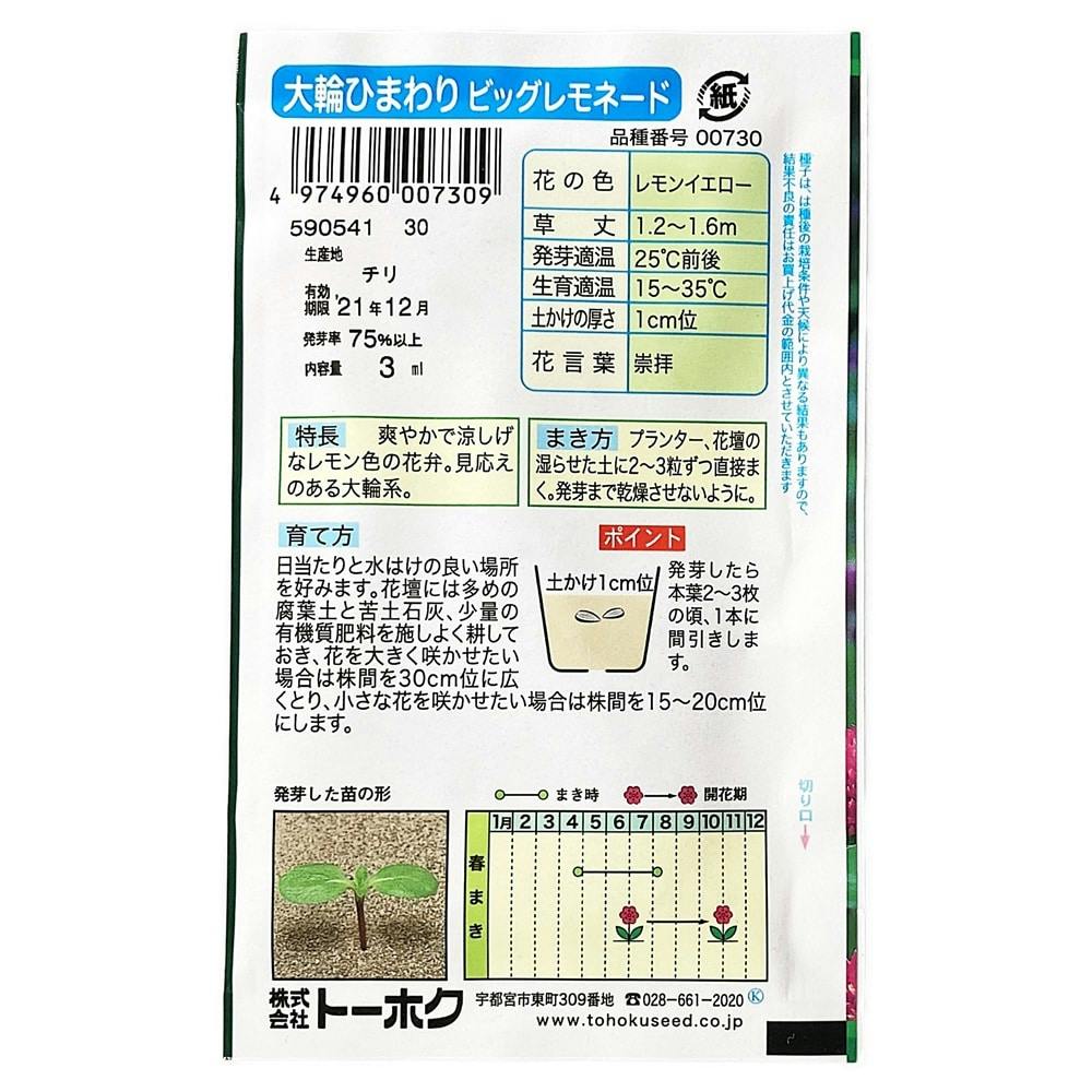 大輪ひまわり ビッグレモネード(販売終了)