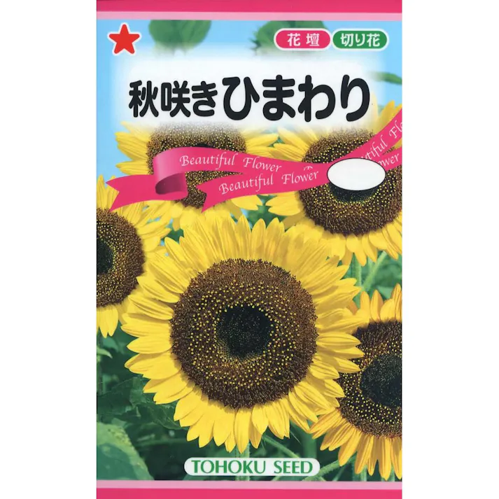 秋咲きひまわり