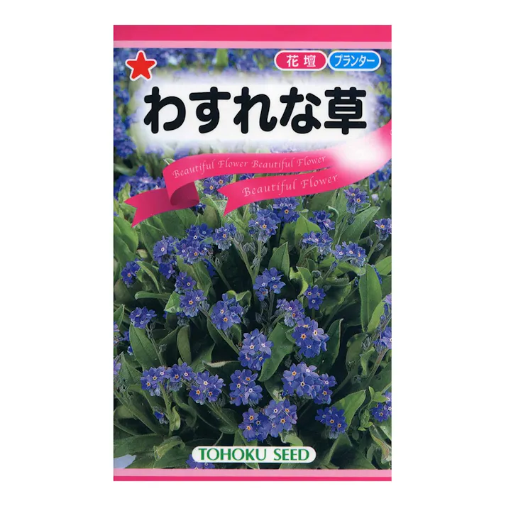 わすれな草
