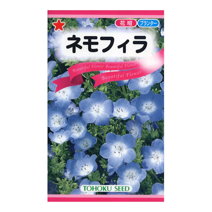 ネモフィラ