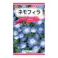 ネモフィラ