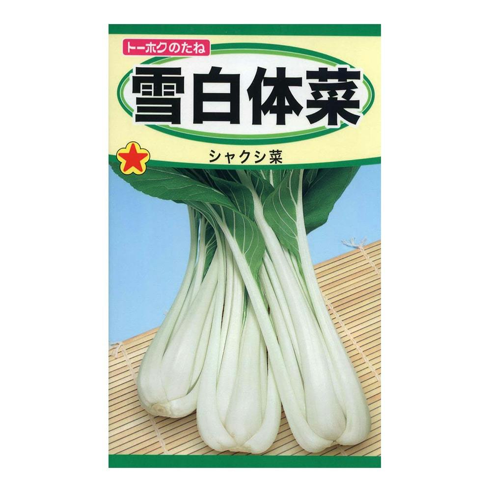 雪白たい菜