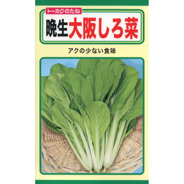 晩生大阪しろ菜