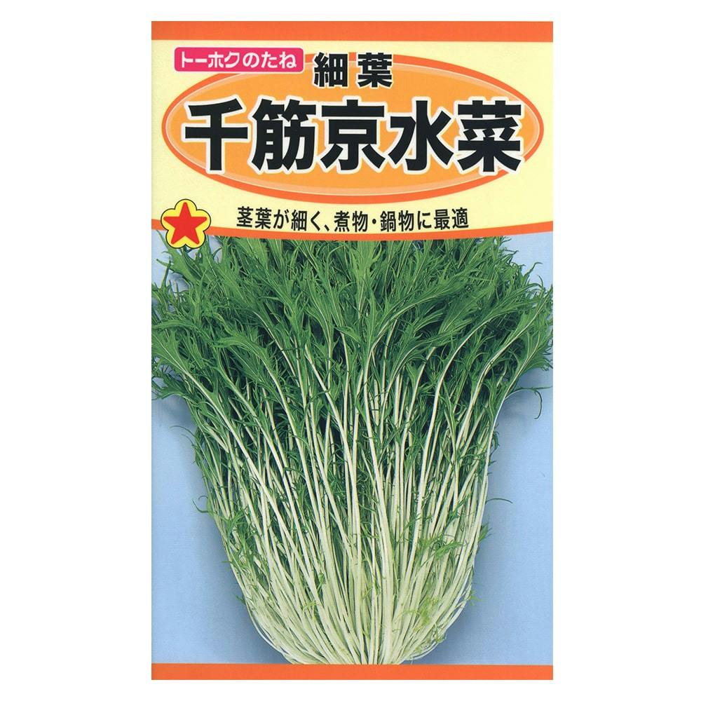 サラダ京水菜 | 花＆グリーン 通販 | ホームセンターのカインズ