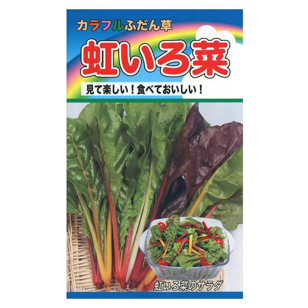 カラフルふだん草 虹色菜