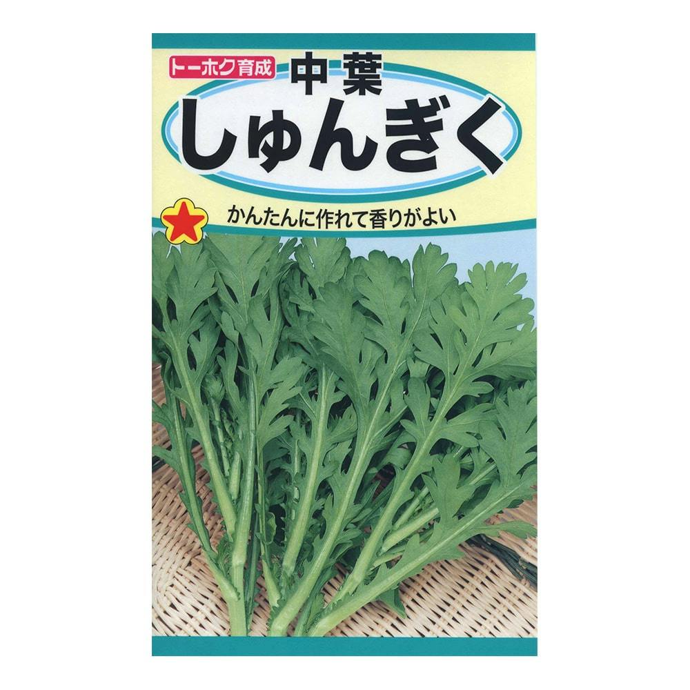 中葉しゅんぎく | 花＆グリーン 通販 | ホームセンターのカインズ