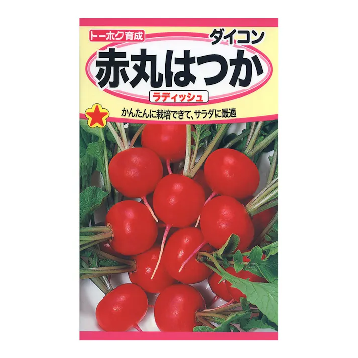 赤丸二十日ラディッシュ