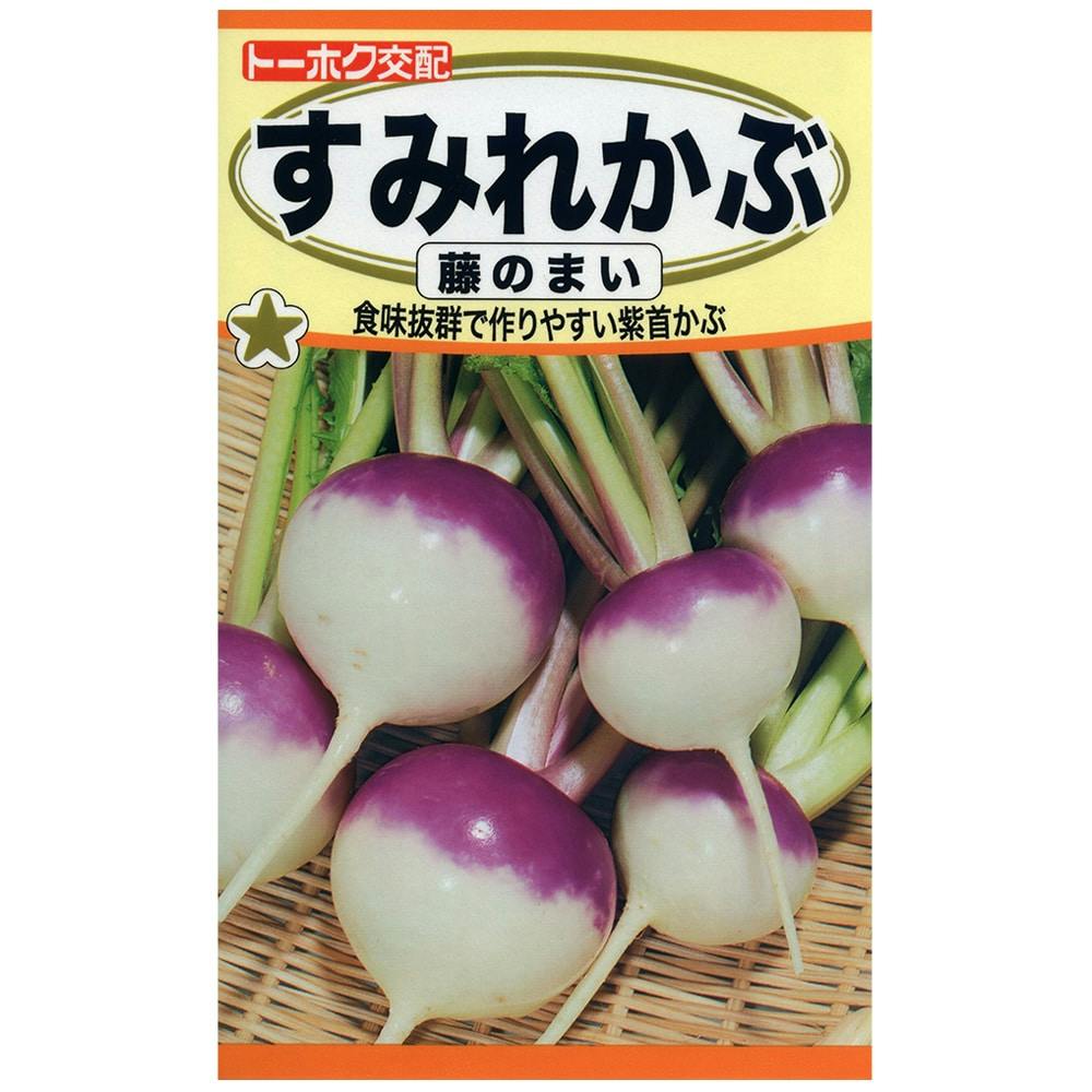 F1 すみれかぶ 藤のまい 根菜(種) F1 すみれかぶ 藤のまい 根菜(種)
