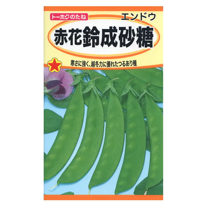 赤花鈴成砂糖えんどう