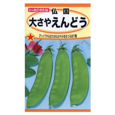 トーホク 仏国大さやえんどう