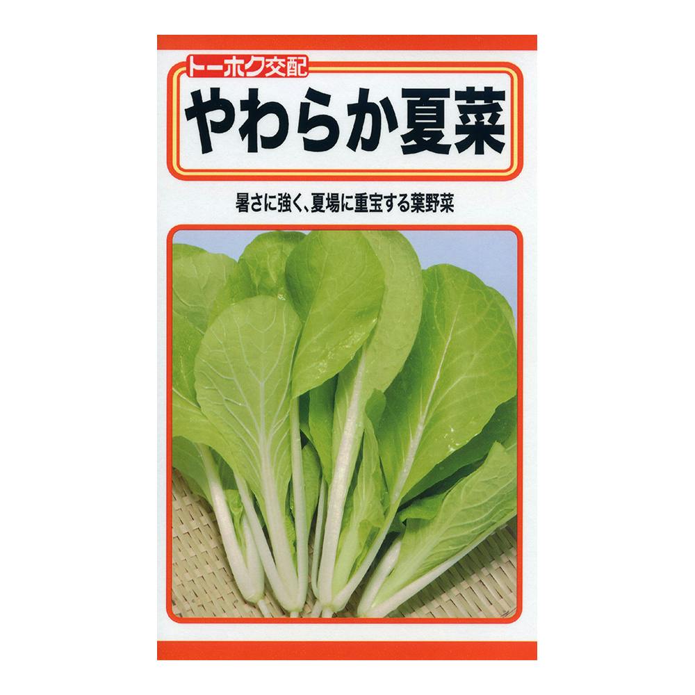 楽天市場】ハイポネックス野菜の培養土14L 【園芸 培養土 土