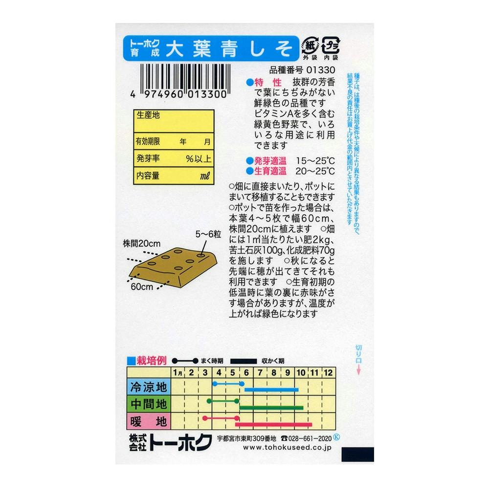 大葉青しそ(販売終了) | 花＆グリーン 通販 | ホームセンターのカインズ