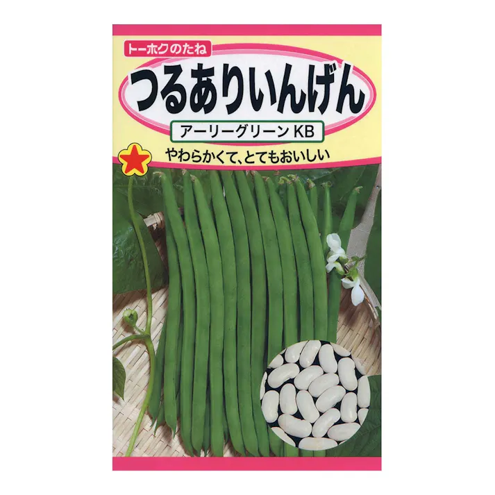 つるありいんげん アーリーグリーンKB