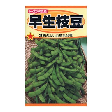 トーホク 早生枝豆(販売終了)