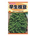 トーホク 早生枝豆(販売終了)