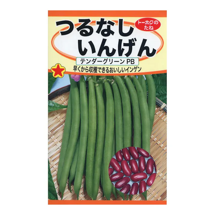 つるなしいんげん テンダグリーンPB