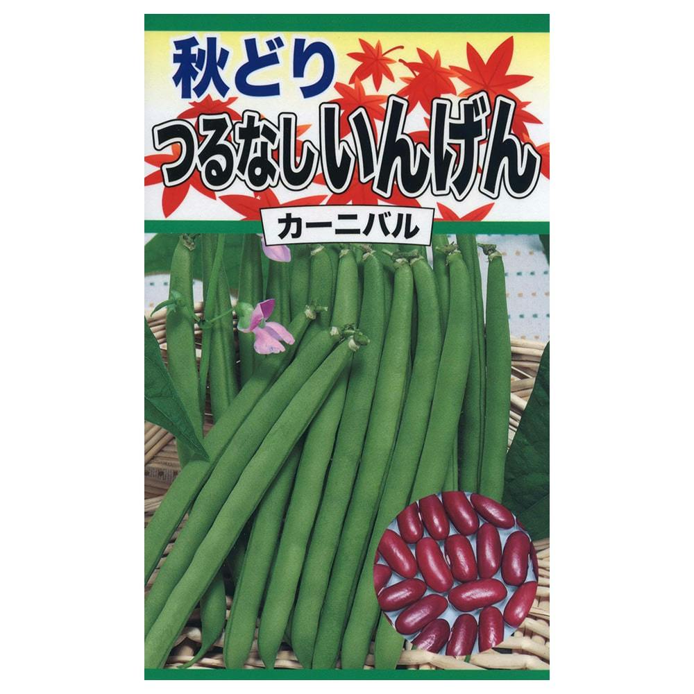 秋どり つるなしいんげん カーニバル