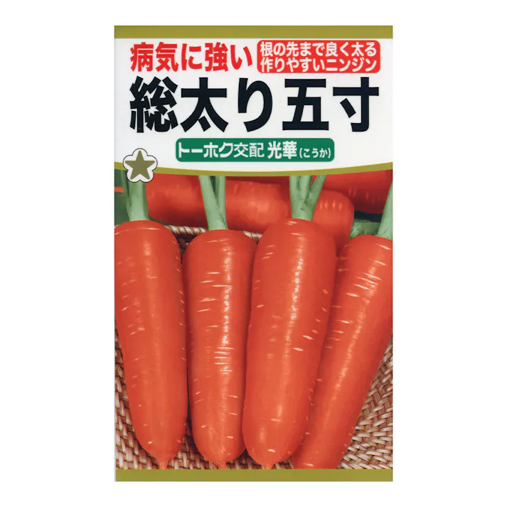 F1病気に強い総太り五寸 光華