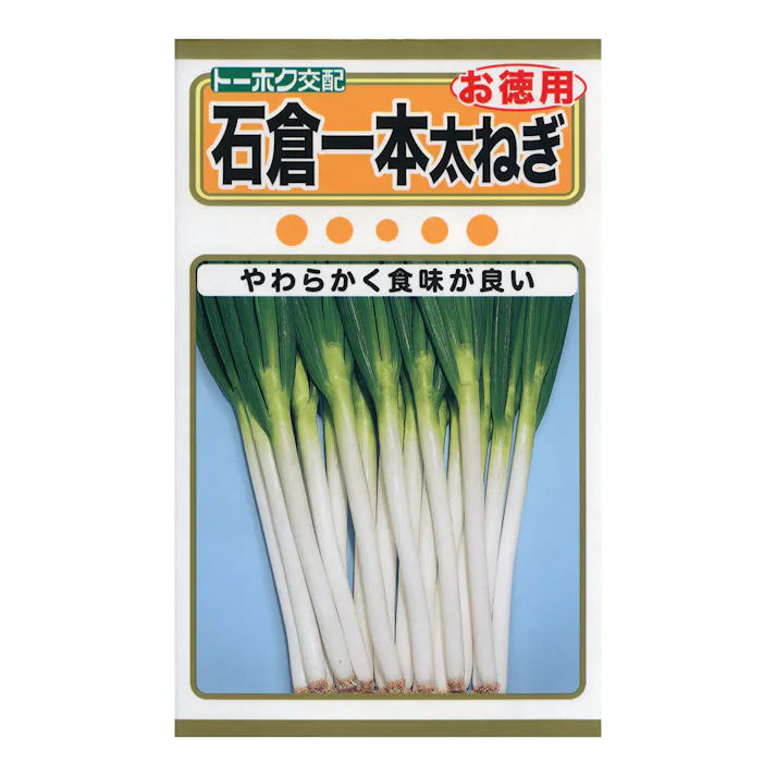 石倉一本太ねぎ(徳用袋)