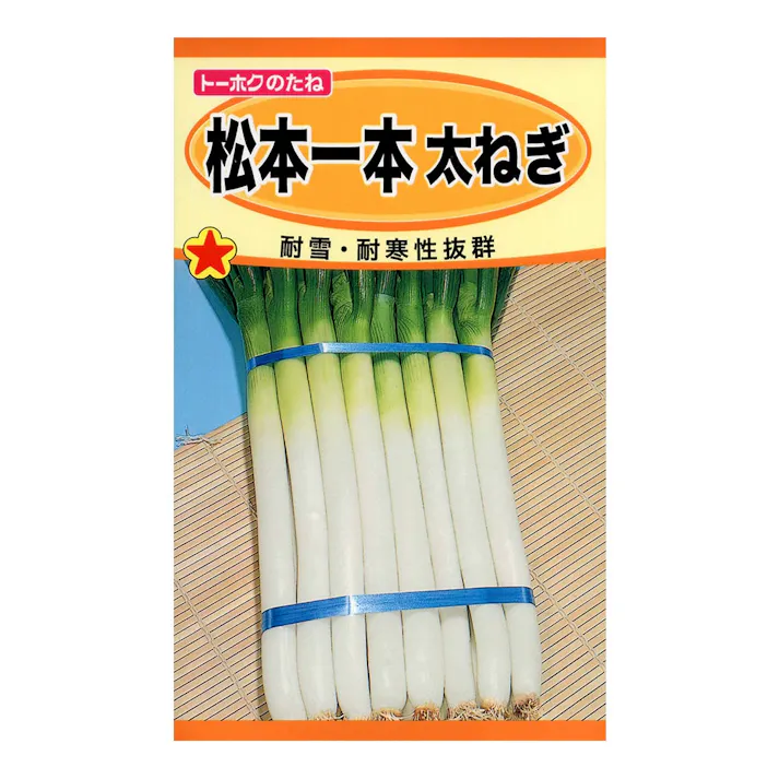 松本一本太ねぎ