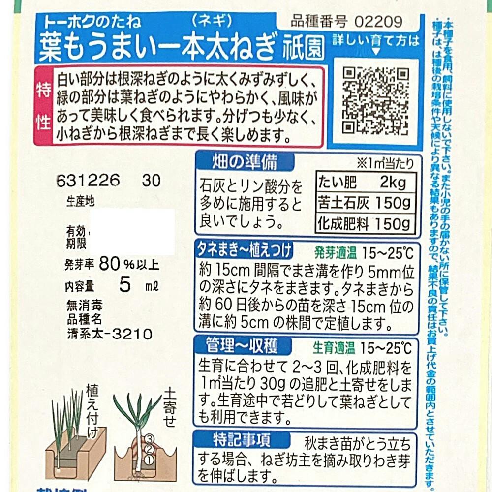 葉もうまい一本太ねぎ 祇園 | 花＆グリーン 通販