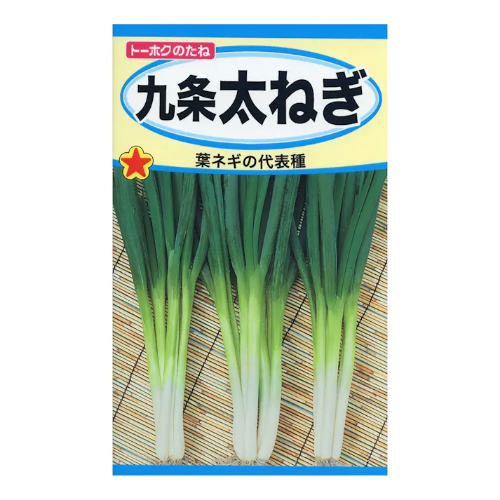 九条太ねぎ