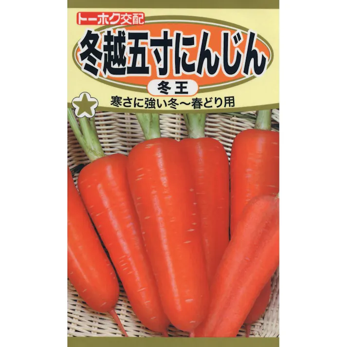 F1 冬越五寸 にんじん 冬王