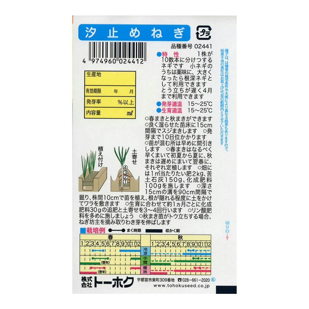 汐止めねぎ | 花＆グリーン 通販 | ホームセンターのカインズ