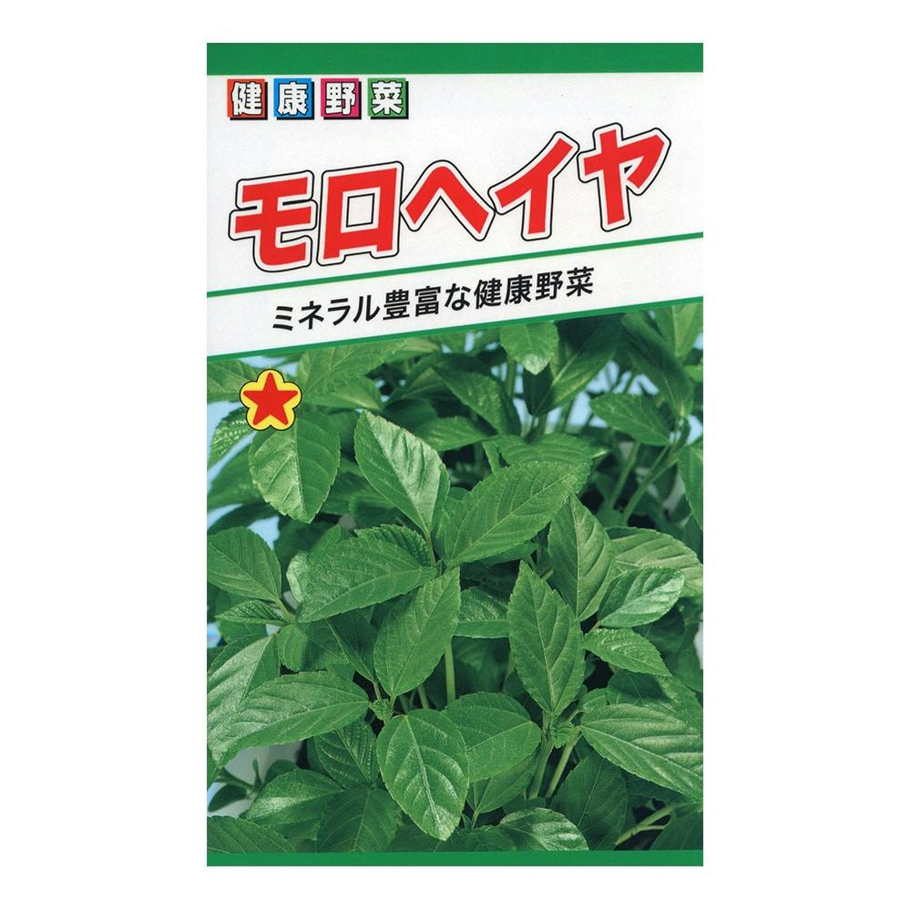 モロヘイヤ | 花＆グリーン 通販 | ホームセンターのカインズ