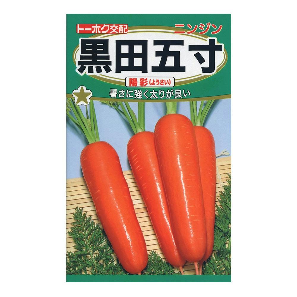 こまつな 浜美 2号コマツナ | 花＆グリーン 通販 | ホームセンターのカインズ