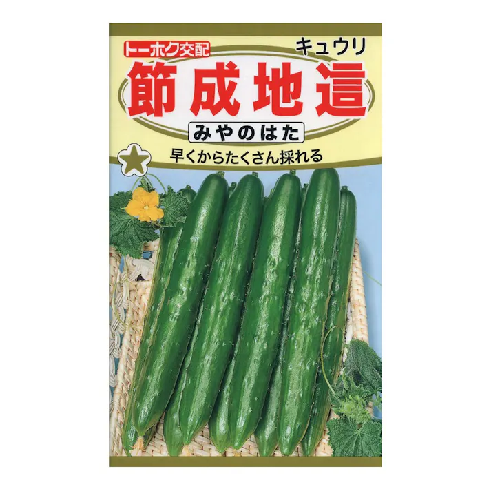 F1 節成地這 みやのはた