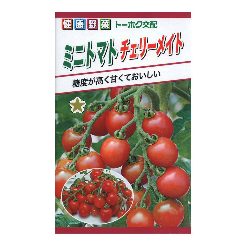 トマト様専用 - メンテナンス