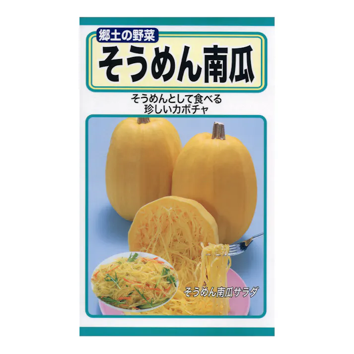 そうめん南瓜