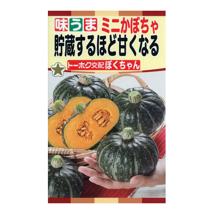 F1貯蔵するほど甘くなる ミニかぼちゃ ぼくちゃん