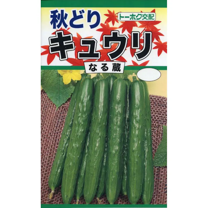 F1 秋どりキュウリ なる蔵