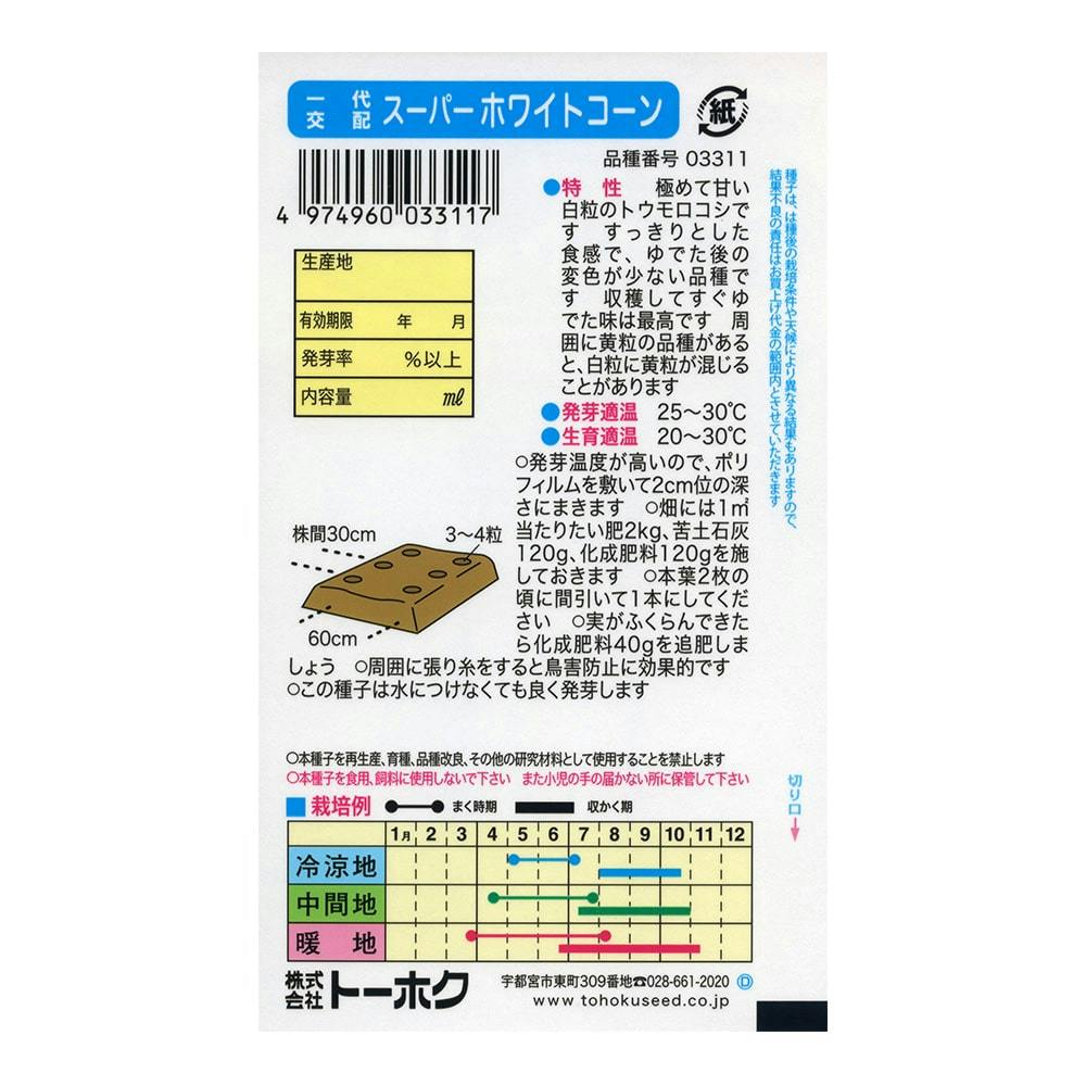 スーパーホワイトコーン(販売終了) | 花＆グリーン 通販