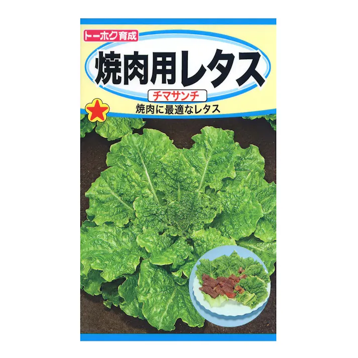 焼肉用レタス チマサンチ