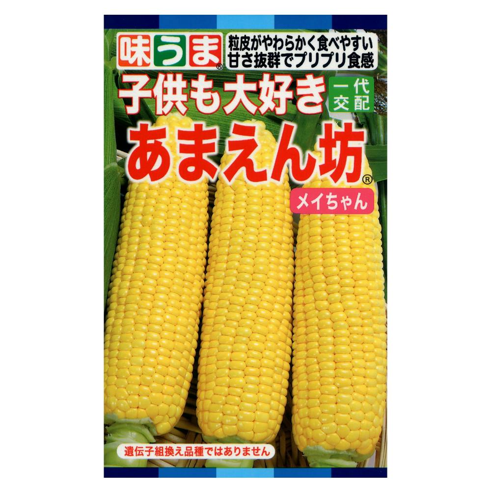とうもろこし F1あまえん坊メイちゃん