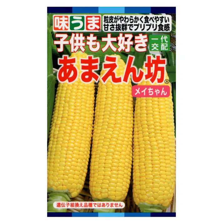 とうもろこし F1あまえん坊メイちゃん