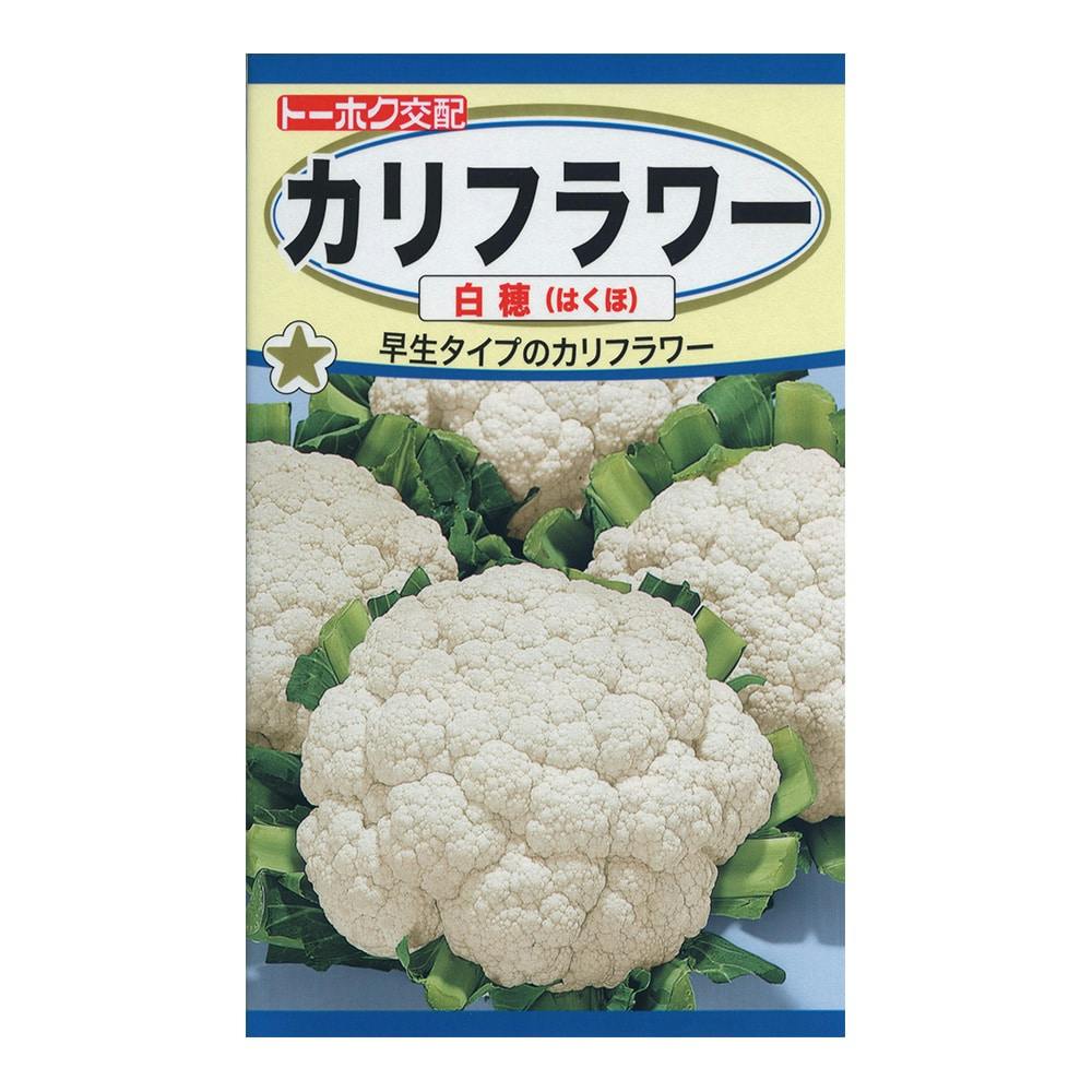 ブロッコリー Amazon.co.jp: ブロッコリー(BROCCOLI) Z/X -Zillions of enemy