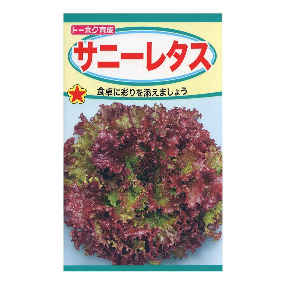 サニーレタス | 花＆グリーン 通販 | ホームセンターのカインズ
